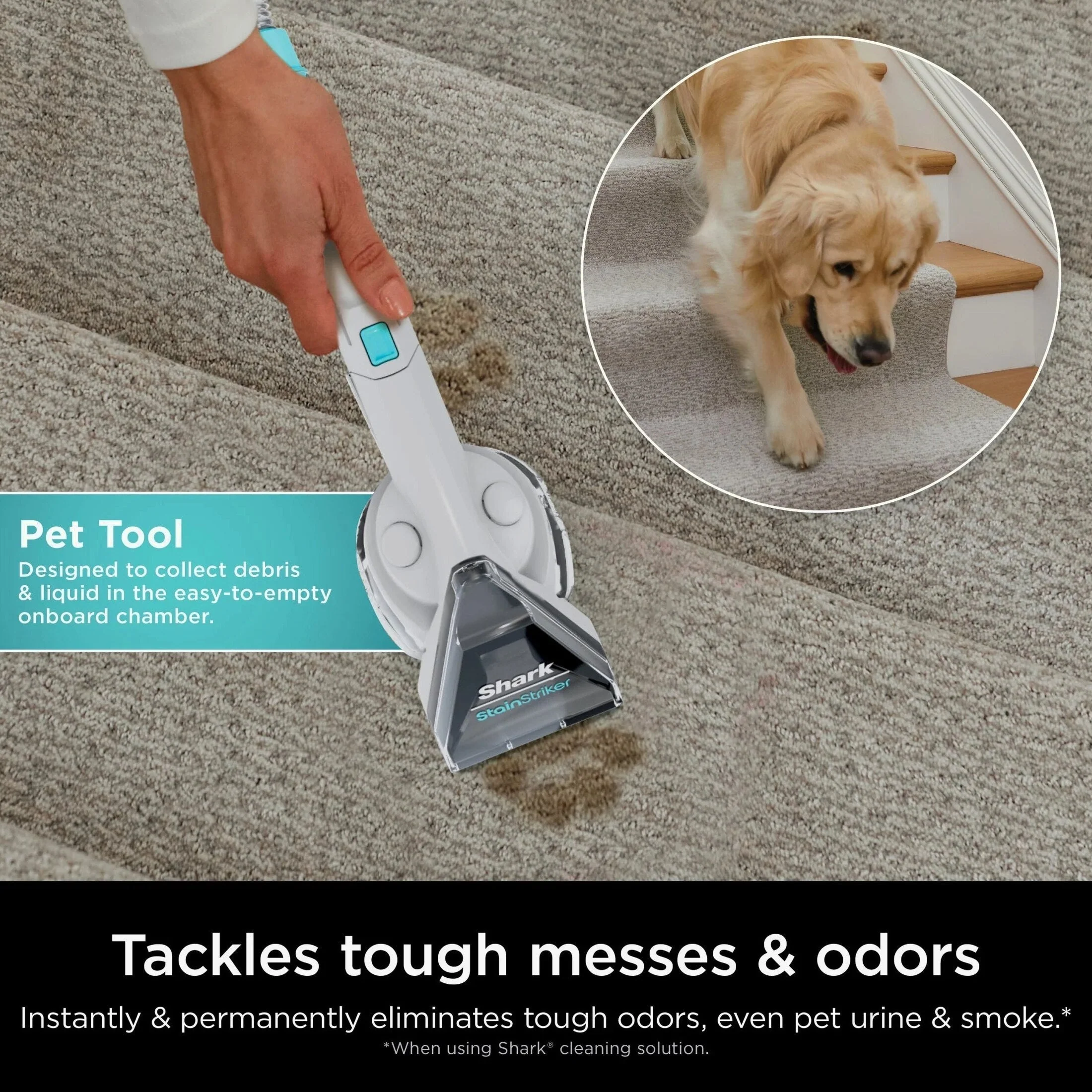 Shark CarpetXpert 2-In-1 Deep Carpet Cleaner And Handheld Spot And Stain Eliminator - Image 7