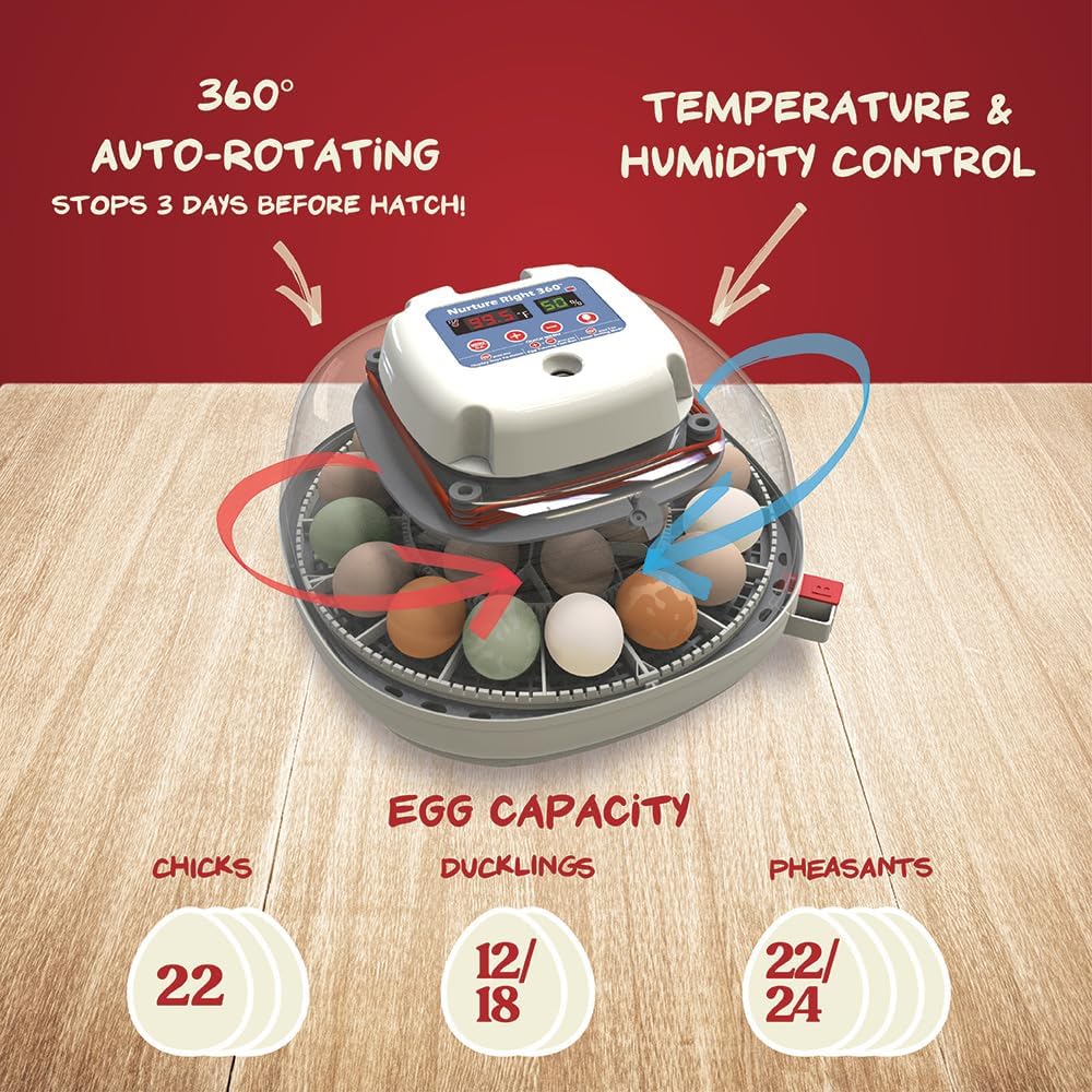 Nurture Right Egg Incubator For Hatching Chicks, Holds 12-22 Eggs - Automatic Turner - Image 3