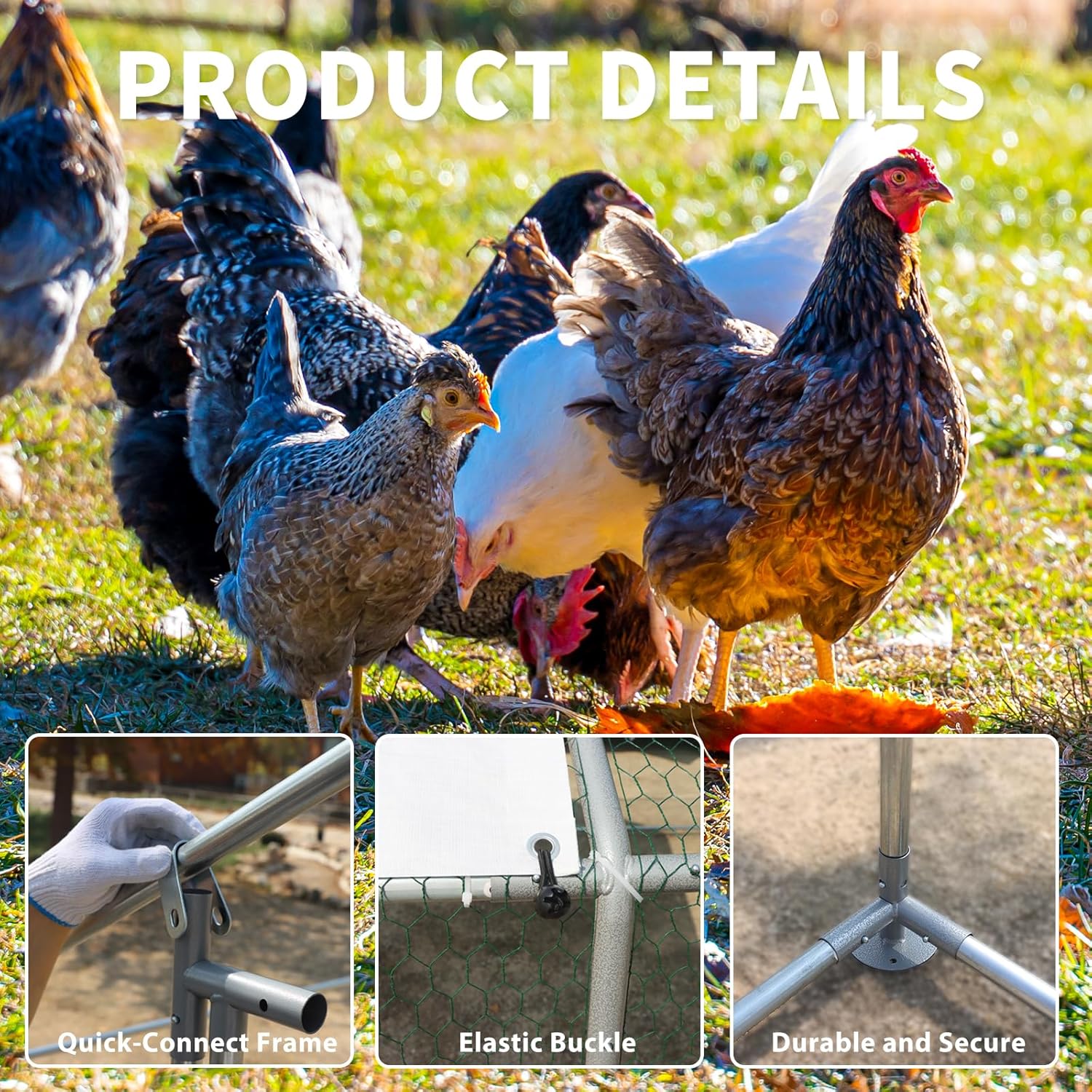 Metal Walk-In Chicken Coop Poultry Cage With Anti-UV Cover - Multiple Sizes - Image 2