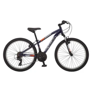 Schwinn Boy Ranger 24 Mountain bike- Silver Red