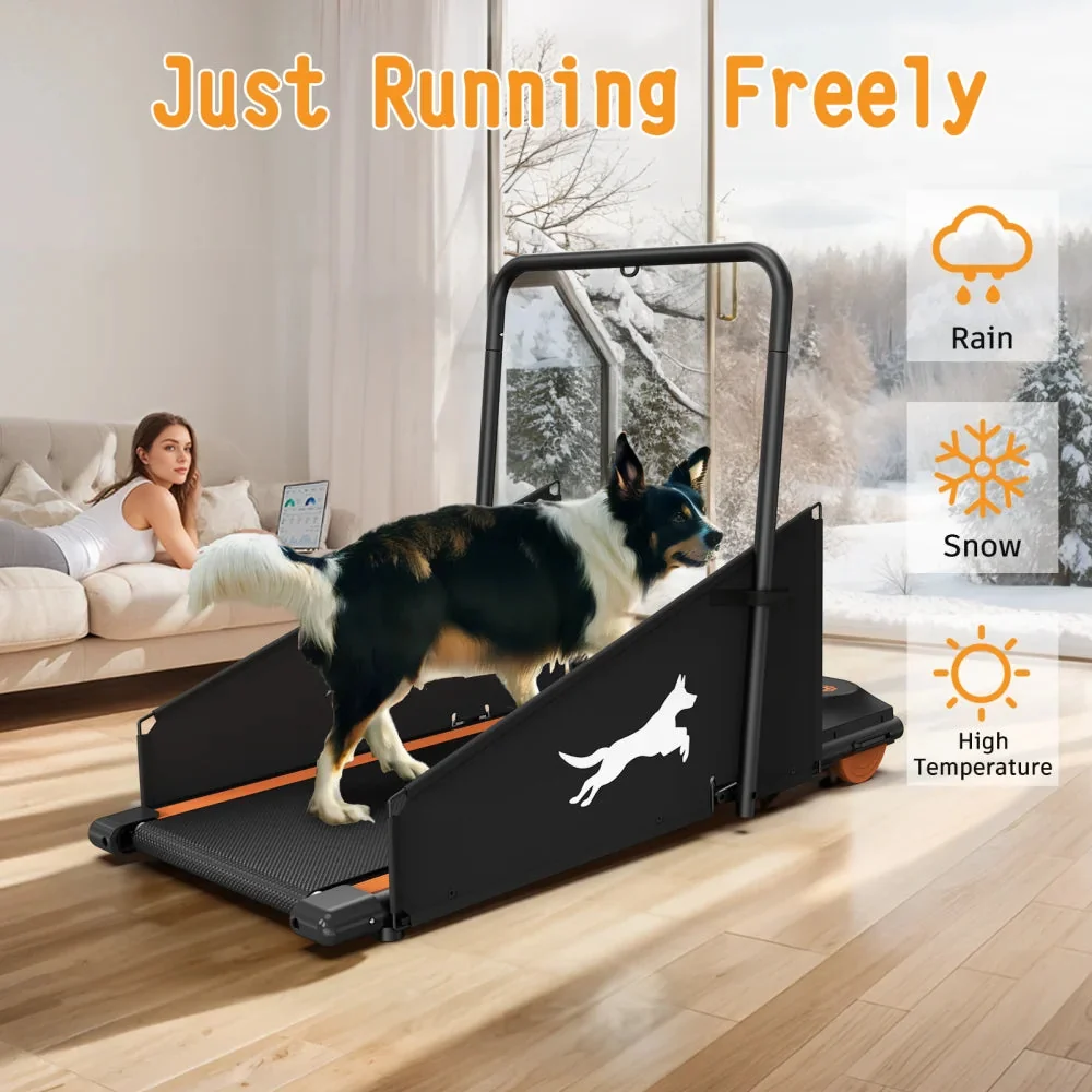 Dog Treadmill For Small And Medium Dogs - W215P235106 - Image 2
