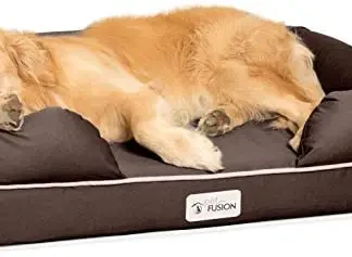 PetFusion Ultimate Orthopedic Dog Bed - Large, 50 x 40 x 13 in, 6-inch CertiPUR-US Memory Foam