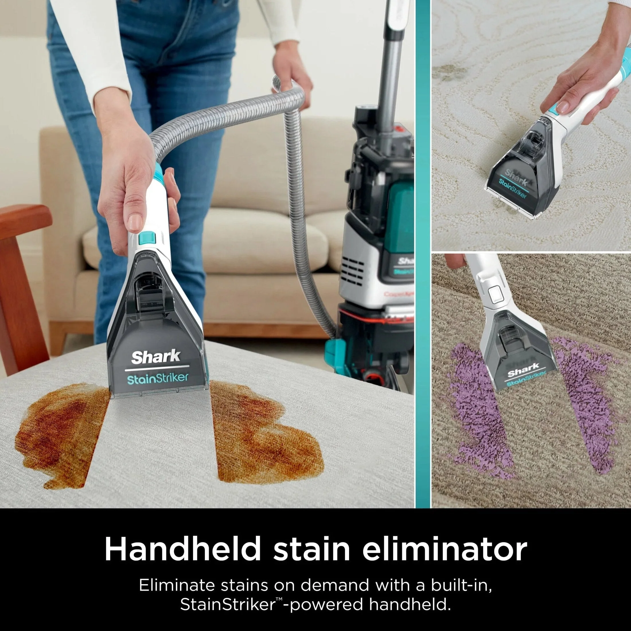 Shark CarpetXpert 2-In-1 Deep Carpet Cleaner And Handheld Spot And Stain Eliminator - Image 6