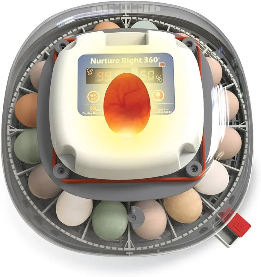 Nurture Right Egg Incubator For Hatching Chicks, Holds 12-22 Eggs - Automatic Turner - Image 2