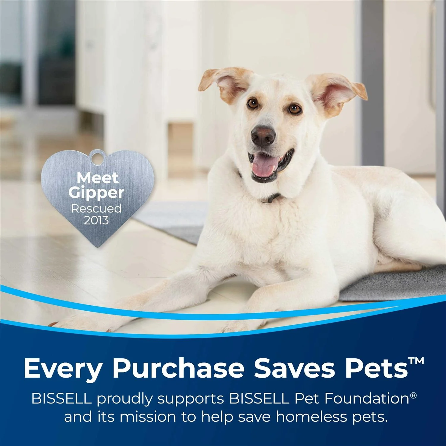 Bissell CrossWave Cordless All-in-One Multi-Surface Wet Dry Vacuum - 2551Q - Image 2