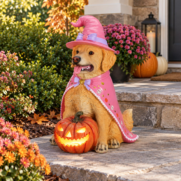 Lighted Halloween Dog Statue, Durable Resin Witch Pet Pumpkin Decor with Batteries, 4 Designs